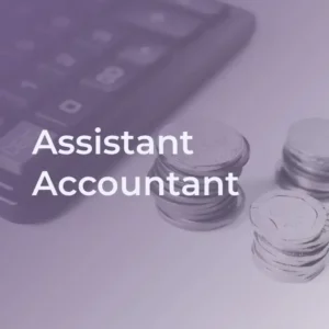 Professional Assistant Accountant Training