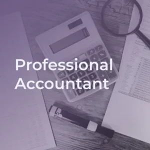 Professional Accountant